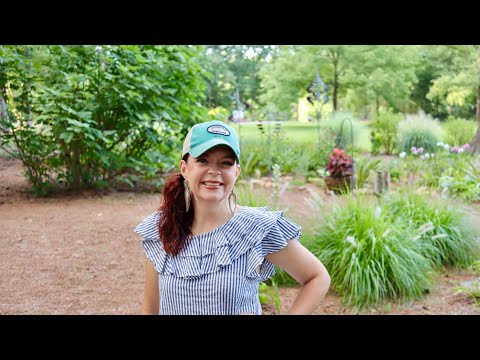 A Garden Tour of My Mama's Gardens