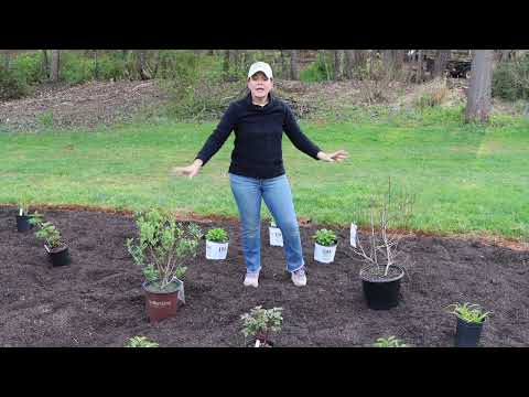 Early Spring Garden Tour & New Beds Update