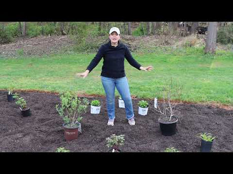 Early Spring Garden Tour & New Beds Update