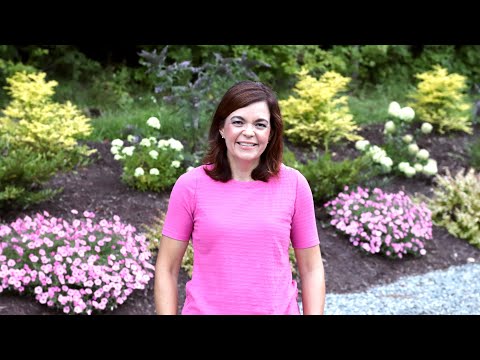 Garden Tour with Supertunia Vista Bubblegum