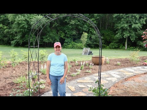 Planting a Pocket of Perennials & Shrubs
