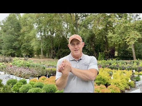 Nursery Tour Part 2 - Jerry's Edition