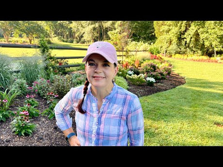 Epic Plants in the Garden