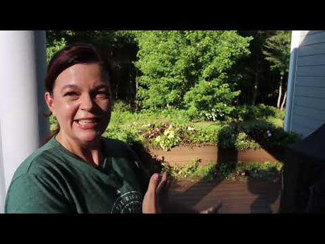 Two Very Different Ways to Trim Your Annuals