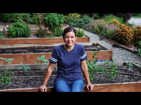 Planting Our Fall Victory Garden