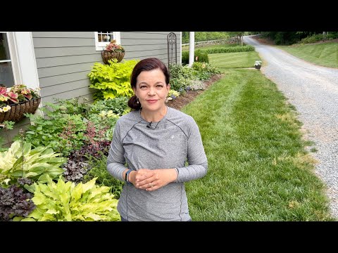 Beautiful Spring Shade Garden Tour