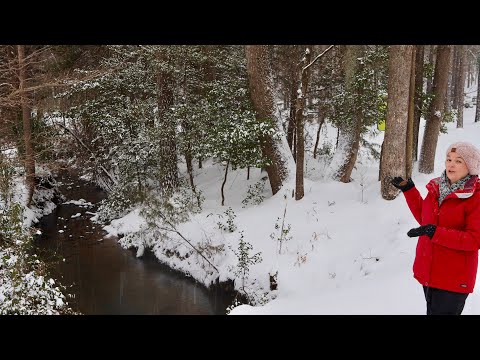 Beautiful & Fun Snow Day