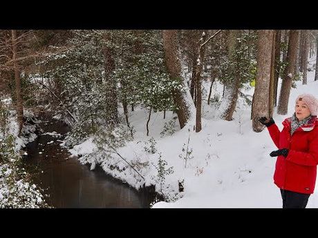 Beautiful & Fun Snow Day
