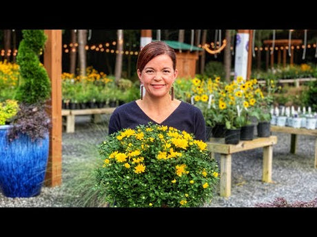 Nursery Tour of Perennials at Creekside Nursery