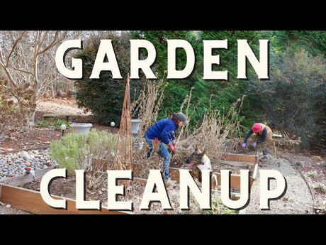 Prepping The Garden For Winter With Mimi
