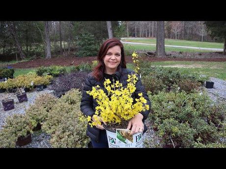 First Spring Nursery Tour