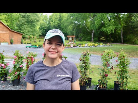 End of May Nursery Tour
