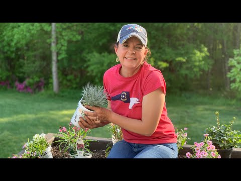 Planting Flowers in the Patio Space