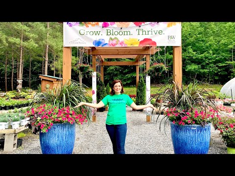 Weekly Nursery Tour