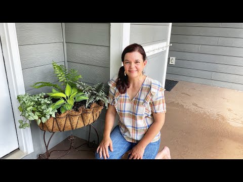 Shade Plants - How to Pick The Right One For Your Space