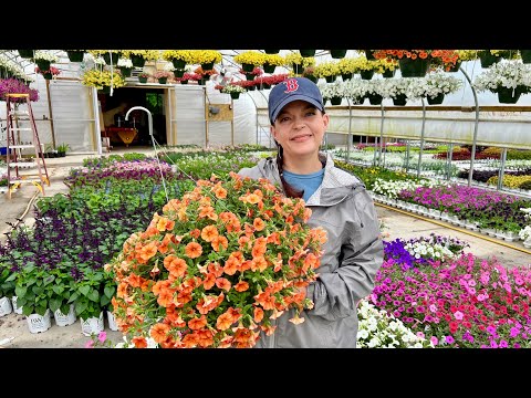 A Rainy Nursery Tour with Plants for Every Garden