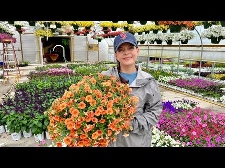 A Rainy Nursery Tour with Plants for Every Garden