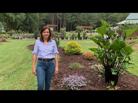 End of August Nursery Tour