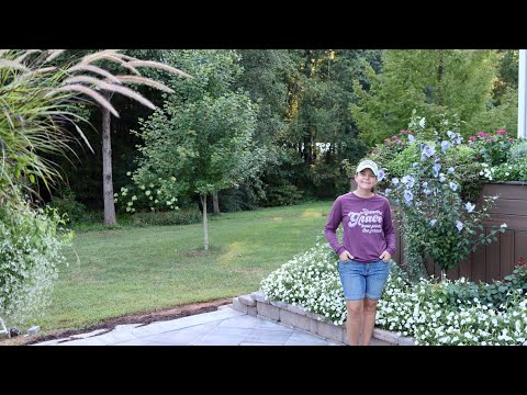 Pre-Party Patio Tour