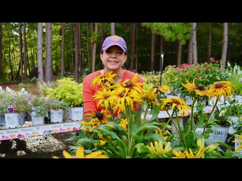 Nursery Tour - New Trees & Perennials Are Here