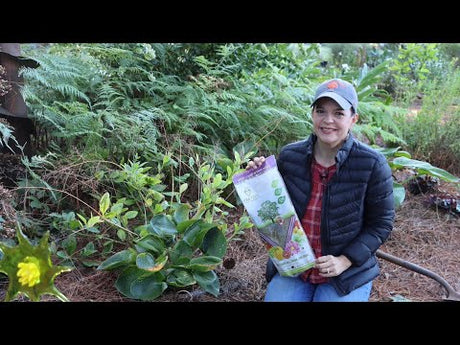 Saving Your Plants from Voles