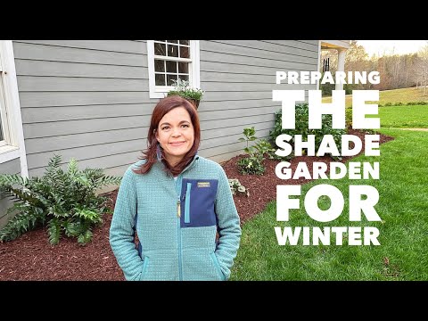 Preparing the Shade Garden for Winter
