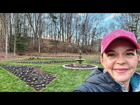 Creating Colorful Winter Beds in the Signature Garden