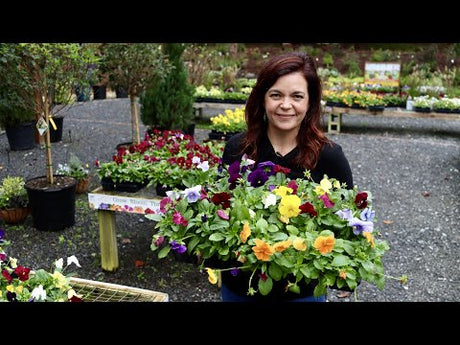 Garden Nursery Tour with Fall Color