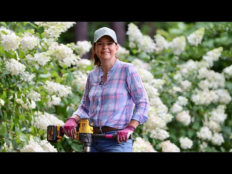 Colorful Plants for the Summer: Hydrangeas & Hibiscuses