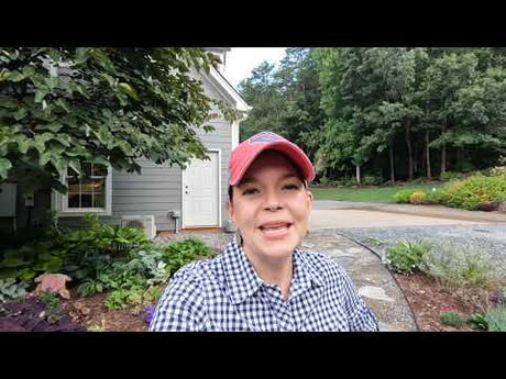 Garden Tour & Perennials Oh My!