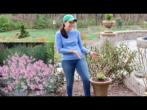 Diamonds in the Garden - An Experiment