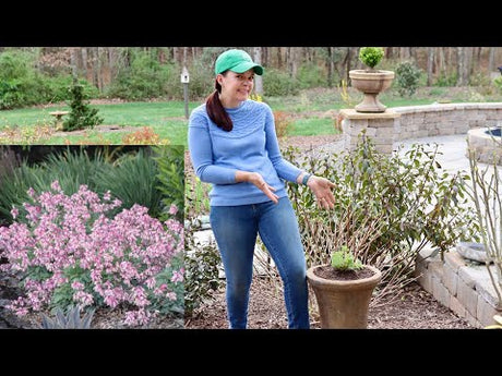 Diamonds in the Garden - An Experiment