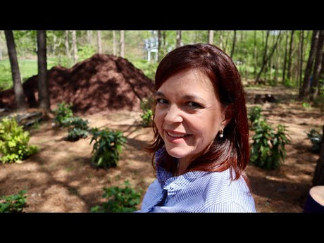 Shade Screen Garden Tour