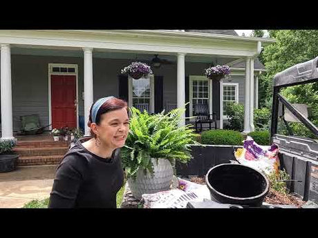 Shade Plants that are Heat Tolerant