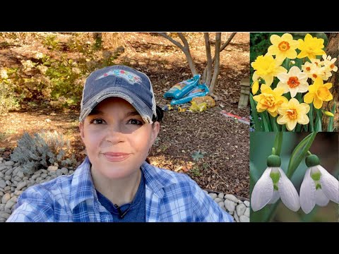 Planting a Few Spring Flowering Bulbs