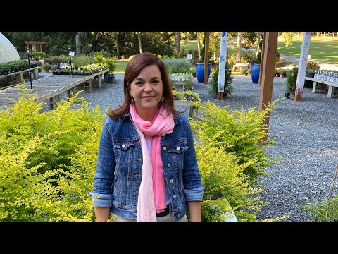 Fall Gardening & Planting Bulbs Nursery Tour