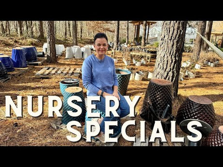 Announcing End-of-Season Specials