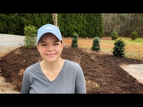 Flower Bed Transformation