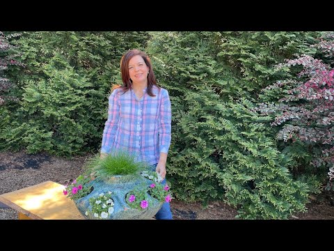Tips for Designing & Planting a Successful Container