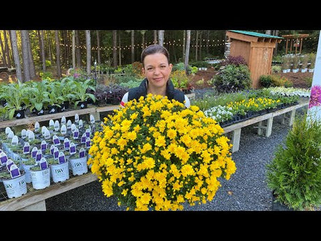 End of September Nursery Tour