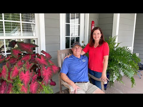 September Porch Chat | Viewer's Q & A