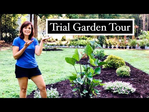 Garden Tour of New Annuals from Proven Winners