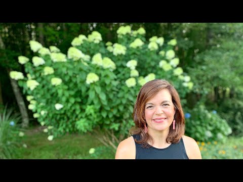 How To Grow Gorgeous Hydrangeas
