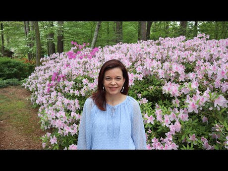 Spring Tour of My Mama's Garden