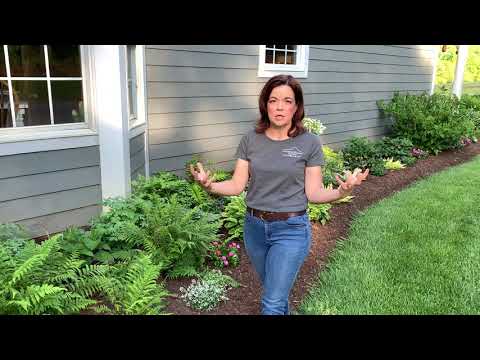 Spring Shade Garden Tour