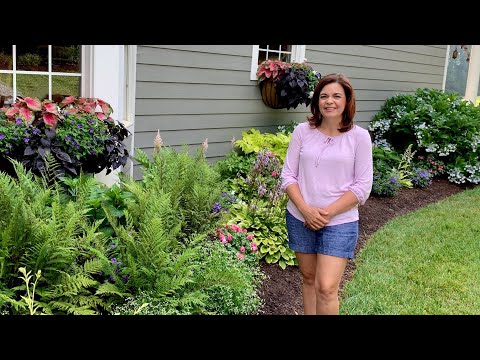 Summer Shade Garden Tour