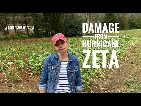 Damage From Hurricane Zeta
