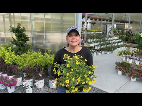 Nursery Tour Filled with Flowers