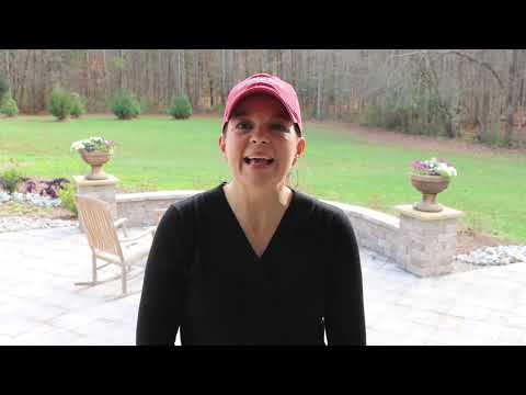 5 Things Not to Do In Your Winter Garden