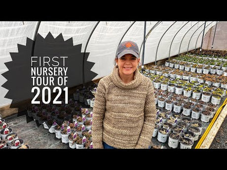 First Nursery Tour of 2021//Gardening with Creekside